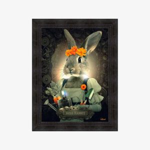 Miss rabbit - BINET