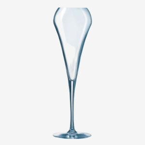 Flute à champagne x6 - OPEN UP