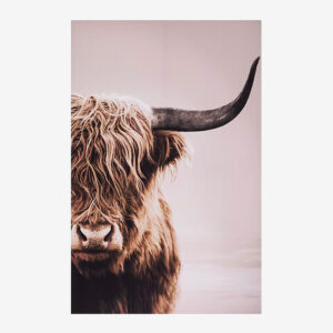Tableau bison - ANIMALYS